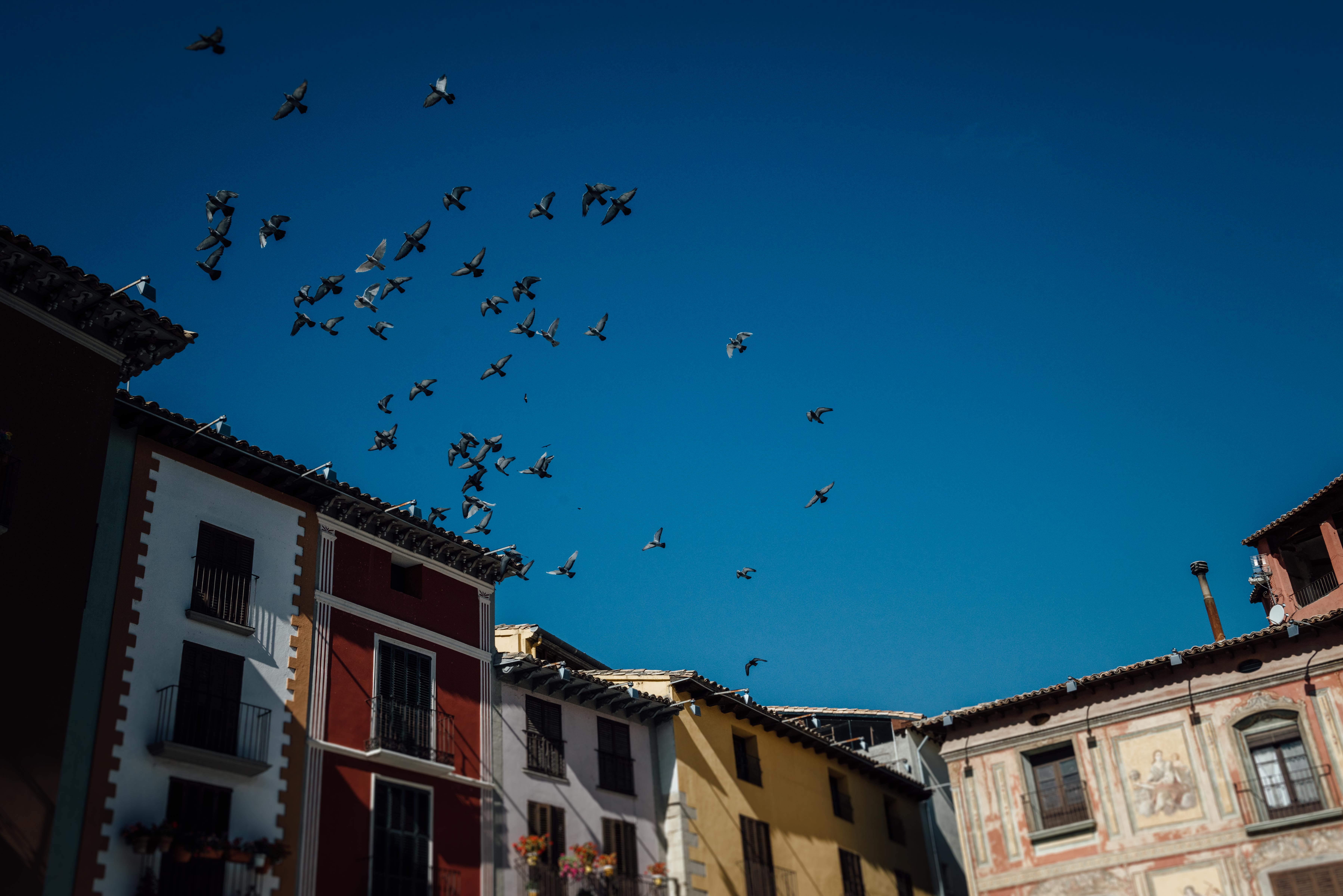 plaza mayor de Graus